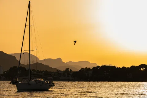 Silueta de velero sobre el atardecer dorado de Alcudia