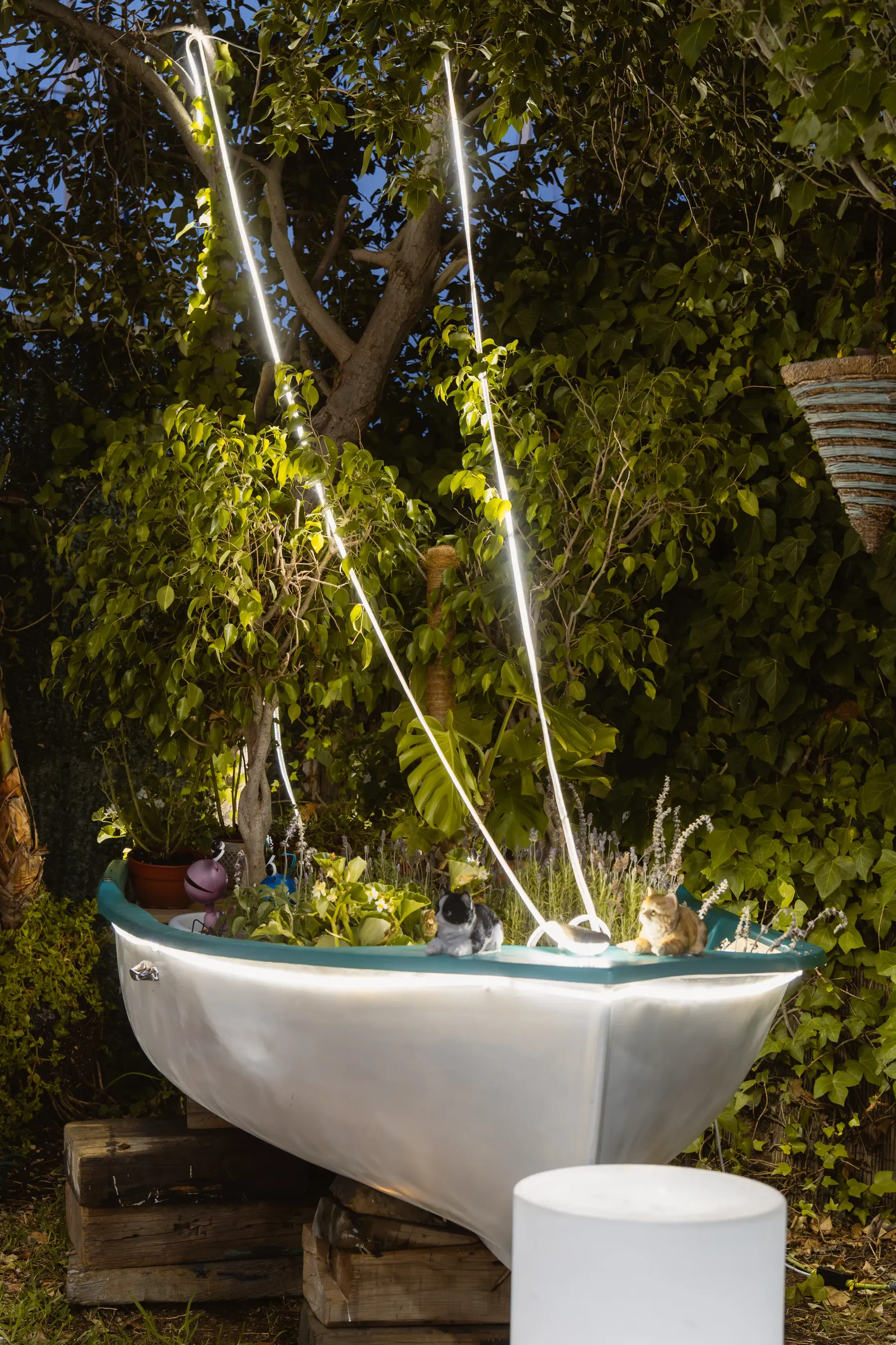 Decoración del jardín de Aqua iluminada al anochecer