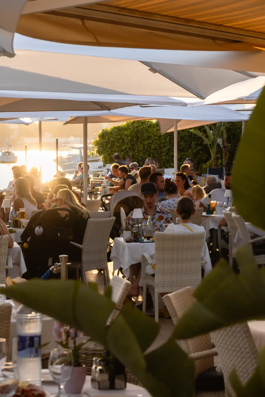 Terraza exterior con sombrillas blancas llena de clientes al atardecer